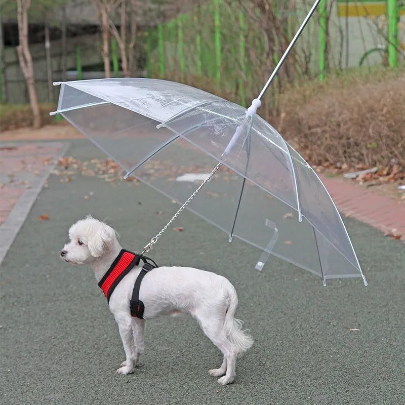 Dog Raincoat with Built-In Leash