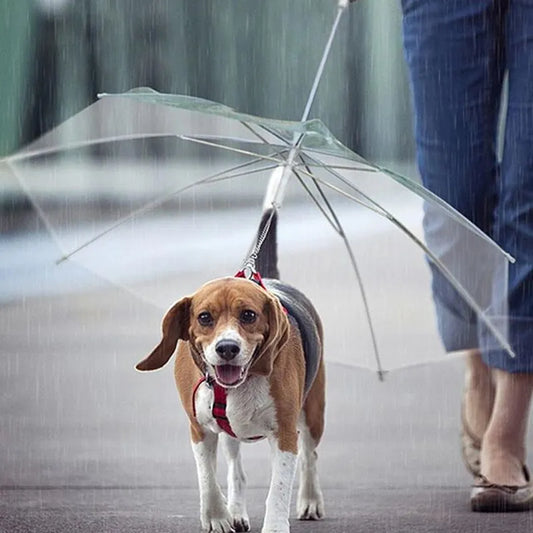Dog Raincoat with Built-In Leash